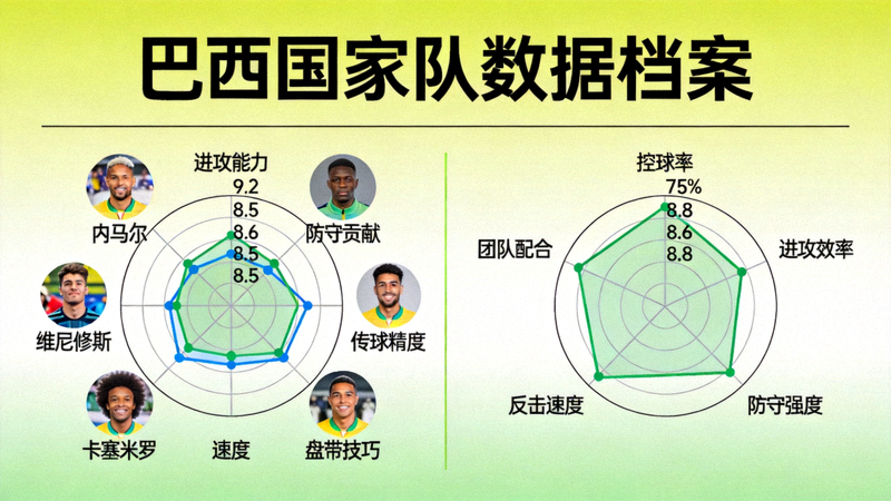 巴西国家队数据档案页面，包含球员评分与战术风格雷达图